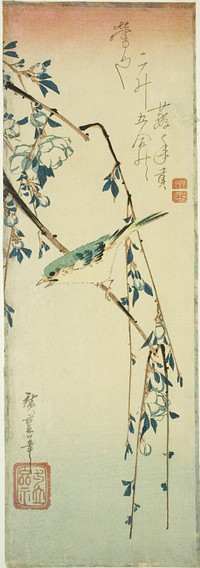 Bush warbler on plum branch by Utagawa Hiroshige