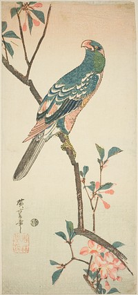 Parrot on a blossoming branch by Utagawa Hiroshige