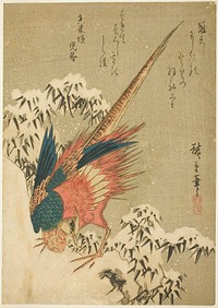 A Golden Pheasant amid Snow-Covered Bamboo on a Steep Hillside by Utagawa Hiroshige