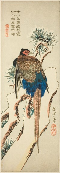 Pheasant on a Snow-Covered Pine Tree by Utagawa Hiroshige