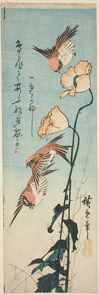 Sparrows and poppies by Utagawa Hiroshige