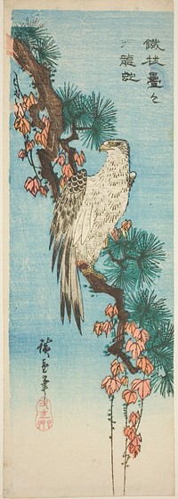 Falcon on ivy-covered pine branch by Utagawa Hiroshige