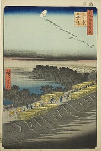 Nihon Embankment, Yoshiwara (Yoshiwara Nihonzutsumi), from the series "One Hundred Famous Views of Edo (Meisho Edo hyakkei)" by Utagawa Hiroshige