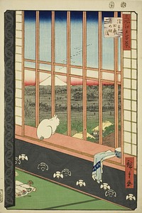 Asakusa Rice Fields and Torinomachi Festival (Asakusa tanbo Torinomachi mode), from the series "One Hundred Famous Views of Edo (Meisho Edo hyakkei)" by Utagawa Hiroshige