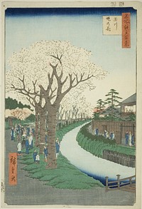 Blossoms on the Tama River Embankment (Tamagawa-zutsumi no hana), from the series "One Hundred Famous Views of Edo (Meisho Edo hyakkei)" by Utagawa Hiroshige