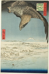 Fukagawa Susaki and Jumantsubo (Fukagawa Susaki Jumantsubo), from the series "One Hundred Famous Views of Edo (Meisho Edo hyakkei)" by Utagawa Hiroshige