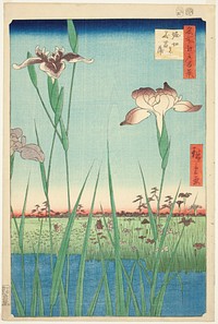 Irises at Horikiri (Horikiri no hanashobu), from the series "One Hundred Famous Views of Edo (Meisho Edo hyakkei)" by Utagawa Hiroshige