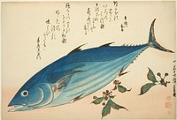 Bonito and saxifrage, from an untitled series of fish by Utagawa Hiroshige