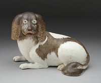 Spaniel