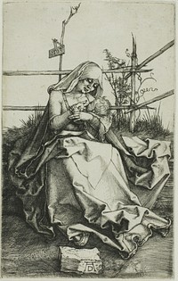Madonna on a Grassy Bank by Albrecht Dürer