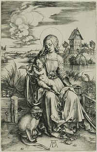 Madonna with the Monkey by Albrecht Dürer