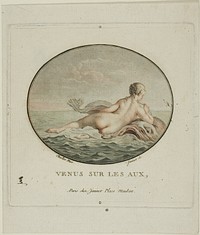 Venus Sur Les Aux by Jean François Janinet