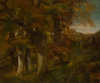 Wooded Landscape by Gustave Courbet