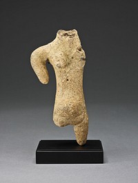 Partial Figure of a Pregnant Women