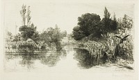 Shere Mill Pond, No. II (large plate) by Francis Seymour Haden