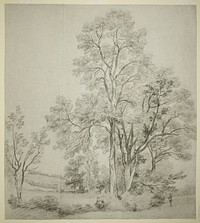 A Stand of Elm Trees (recto); A Study of East Bergholt with the Church (verso) by John Constable