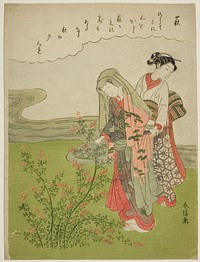 Bush Clover (Hagi), from an untitled series of Flowers by Suzuki Harunobu