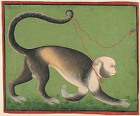 A Monumental Portrait of a Monkey