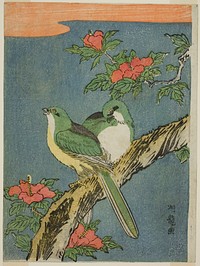 Two Birds on Hibiscus Tree by Isoda Koryusai