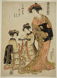 Shirayu of the Wakanaya, from the series "Models for Fashion: New Designs as Fresh as Young Leaves (Hinagata wakana no hatsu moyo)" by Isoda Koryusai