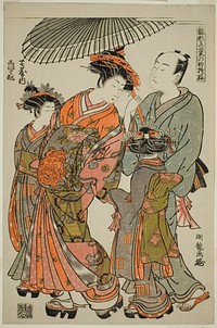 Shioginu of the Tsutaya, from the series "Models for Fashion: New Designs as Fresh as Young Leaves (Hinagata wakana no hatsu moyo)" by Isoda Koryusai (Publisher)