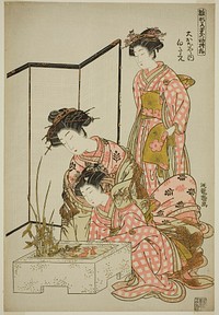 Shirotae of the Okanaya, from the series "Models for Fashion: New Designs as Fresh as Young Leaves (Hinagata wakana no hatsu moyo)" by Isoda Koryusai