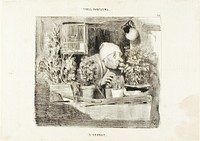Smell, plate 38 from Types Parisiens by Honoré-Victorin Daumier