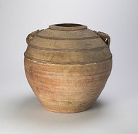 Globular Jar with Relief Cordons and Two Handles