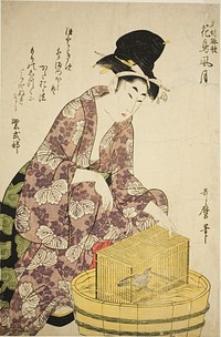 Murasaki Shikibu: Bird, from the series "Famous Women and Their Poems on Flowers, Birds, Wind, and Moon (Meifu eika kacho fugetsu)" by Kitagawa Utamaro