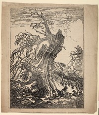 Study of a Tree by Raphael Lamar West