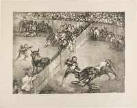 Bullfight in a divided ring, from The Bulls of Bordeaux by Francisco José de Goya y Lucientes