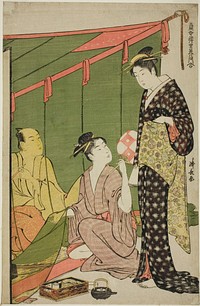 Mosquito Net, from the series "A Collection of Contemporary Beauties of the Pleasure Quarters (Tosei yuri bijin awase)" by Torii Kiyonaga