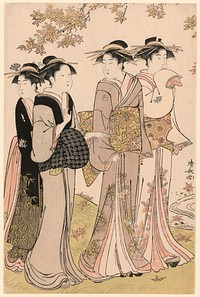 Beauties Under a Maple Tree, from the series "A Collection of Contemporary Beauties of the Pleasure Quarters (Tosei yuri bijin awase)" by Torii Kiyonaga