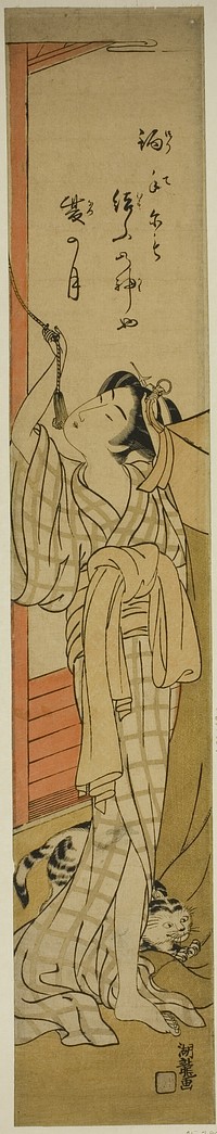 Young Woman Hanging a Mosquito Net as Cat Plays at Her Feet by Isoda Koryusai