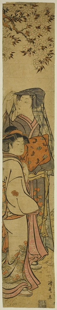 Two Women Viewing Cherry Blossoms by Torii Kiyonaga