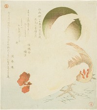 Cock, Hen, and Rising Sun, from the series "Seven Bird-and-flower Prints for the Fuyo Circle of Kanuma in Shimotsuke Province (Yamagawa Shimotsuke Kanuma Fuyo-ren kacho nanaban tsuzuki no uchi)" by Kubo Shunman