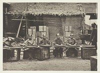 Tea-Picking in Canton by John Thomson