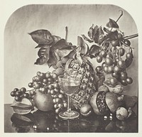 Fruit by John Thomson