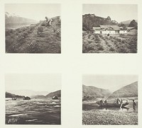 The Tea Plant; The Tea Plant; Yenping Rapids; A Small Rapid Boat by John Thomson