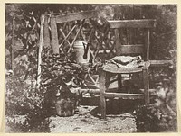 Chaise dans un Jardin by Hippolyte Bayard