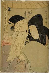 The Courtesan Umegawa and Chubei of the Courier Firm (Keisei Unegawa, Hikyakuya Chubei), from the series "True Feelings Compared: The Founts of Love (Jitsu kurabe iro no minakami)" by Kitagawa Utamaro