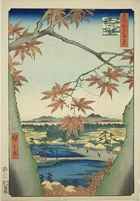 Maple Trees at Mama, Tekona Shrine and Tsugi Bridge (Mama no momiji, Tekona no yashiro, Tsugihashi), from the series "One Hundred Famous Views of Edo (Meisho Edo hyakkei)" by Utagawa Hiroshige