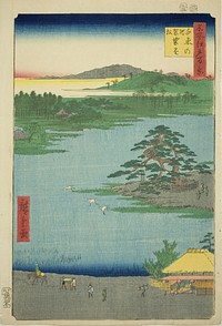 The Robe-hanging Pine at Senzoku Pond (Senzoku no ike Kesakakematsu), from the series "One Hundred Famous Views of Edo (Meisho Edo hyakkei)" by Utagawa Hiroshige