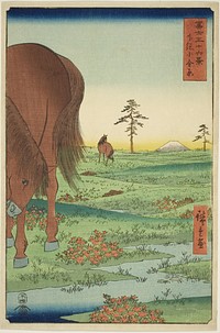 Kogane Plain in Shimosa Province (Shimosa Koganehara), from the series "Thirty-six Views of Mount Fuji (Fuji sanjurokkei)" by Utagawa Hiroshige