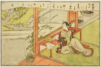 Double-page Illustration from Vol. 2 of "Picture Book of Spring Brocades (Ehon haru no nishiki)" by Suzuki Harunobu