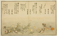 Beni-gai, hora-gai, urauzu-gai, wasure-gai, chiyonohana-gai, and masuho-gai, from the illustrated book "Gifts from the Ebb Tide (Shiohi no tsuto)" by Kitagawa Utamaro