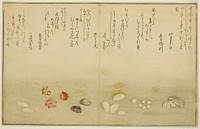 Sudare-gai, hana-gai, sakura-gai, mumeno-gai, nadeshiko-gai, and kinuta-gai, from the illustrated book "Gifts from the Ebb Tide (Shiohi no tsuto)" by Kitagawa Utamaro