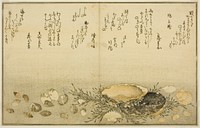 Chidori-gai, itaya-gai, awabi, utsuse-gai, asari-gai, and monoara-gai, from the illustrated book "Gifts from the Ebb Tide (Shiohi no tsuto)" by Kitagawa Utamaro