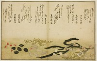 Minashi-gai, shio-gai, katatsu-gai, miso-gai, chijimi-gai, and chigusa-gai, from the illustrated book "Gifts from the Ebb Tide (Shiohi no tsuto)" by Kitagawa Utamaro