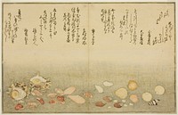 Shiro-gai, namima-gashiwa, makura-gai, iro-gai, aza-gai, sadae-gai, from the illustrated book "Gifts from the Ebb Tide (Shiohi no tsuto)" by Kitagawa Utamaro